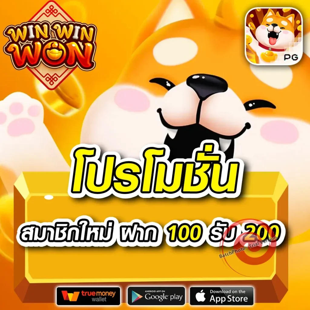 101 tiger เล่นง่าย